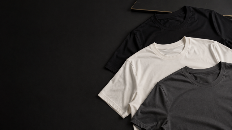 CAMISETAS BASIC